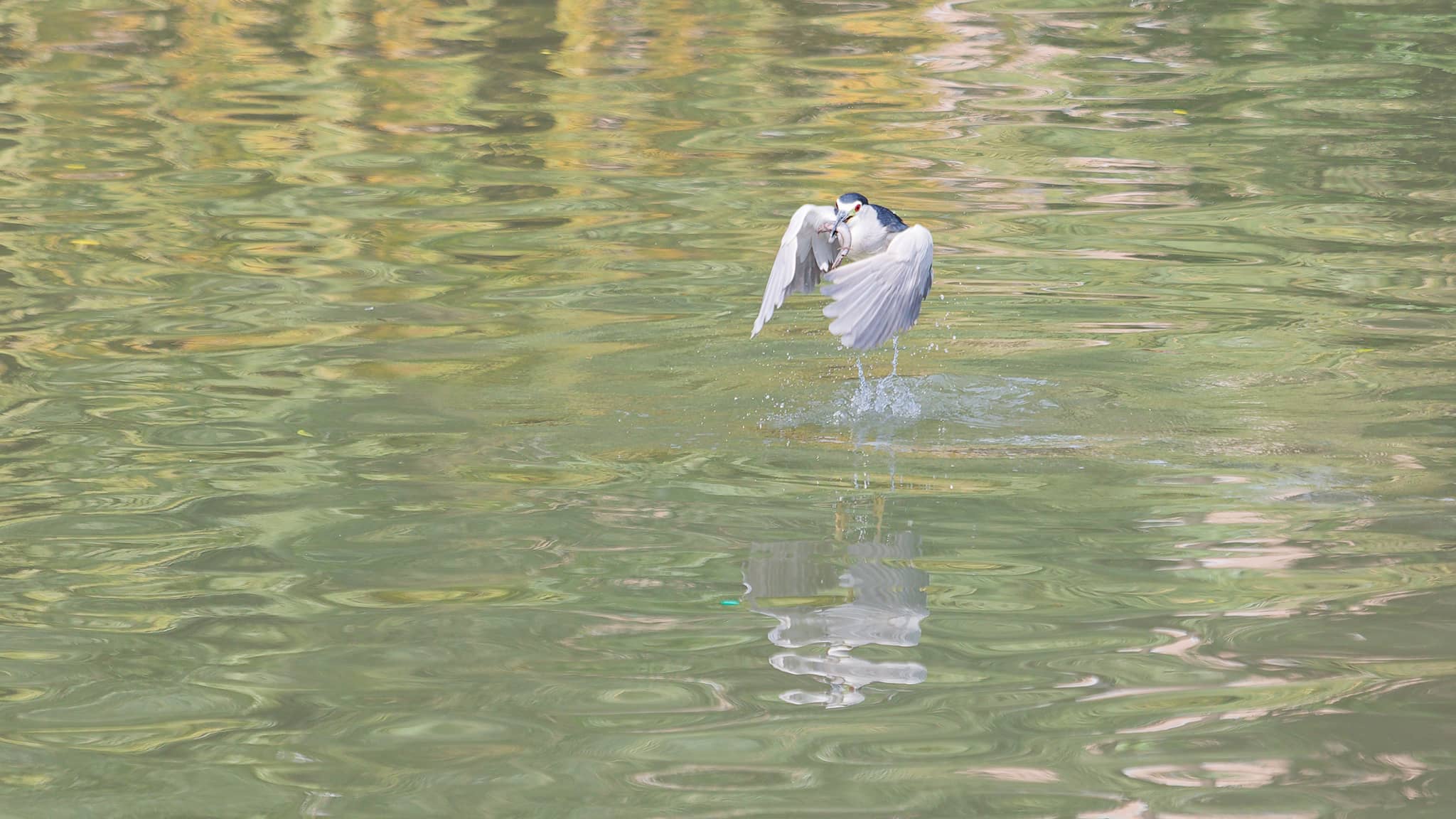 06 - Kaohsiung (23).jpg